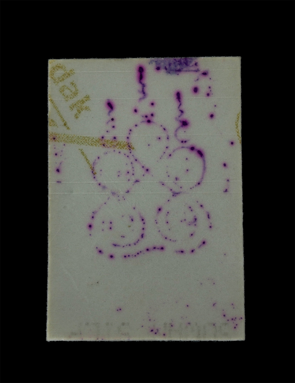 12Aug24 (114)p.jpg - รูปถ่ายหลวงปู่โง่น โสรโย วัดพระพุทธบาทเขารวก อ.ตะพานหิน จ.พิจิตร หลังปั้มยันต์พระเจ้าห้าพระองค์ รูปเก่าสวย น่าเก็บสะสมบูชา ขนาดห้วยคอ | https://kamulet.in.th